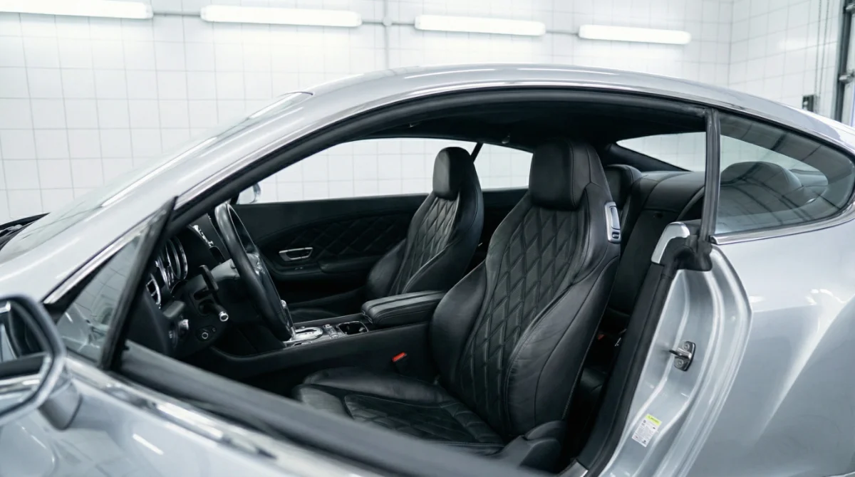 Leather Preservation technical detailing